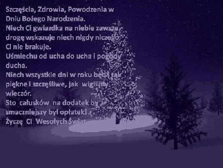 Choinki na Boże Narodzenie